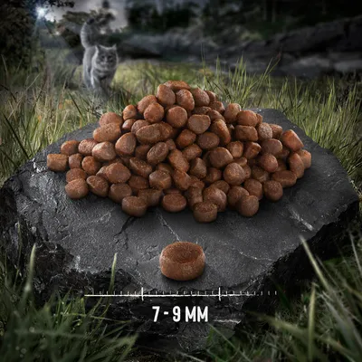 Pile of round brown kibble on a stone with one piece in front, size scale below showing 7–9 mm. Cat visible in background.