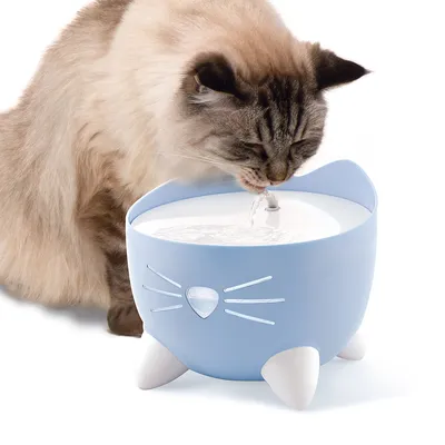 Gato a beber de uma fonte de água azul com motivo de gato e água corrente.