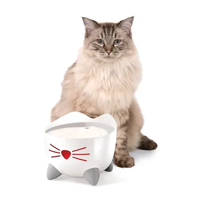 Trinkbrunnen in Katzenform mit grauen Füssen und rotem Herzmotiv, neben einer Katze. Geeignet für die Wasserversorgung von Haustieren.