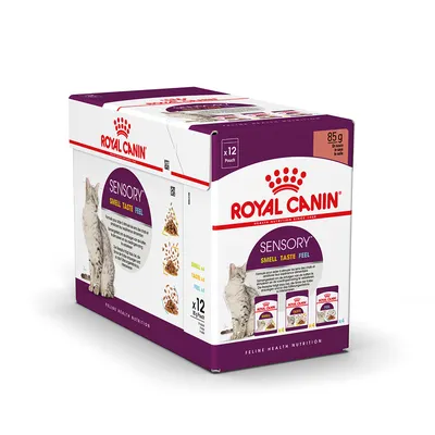 Royal Canin Sensory Smell Taste Feel, Katzenfutter in Sauce, 12 x 85g Pouches. Feline Health Nutrition.