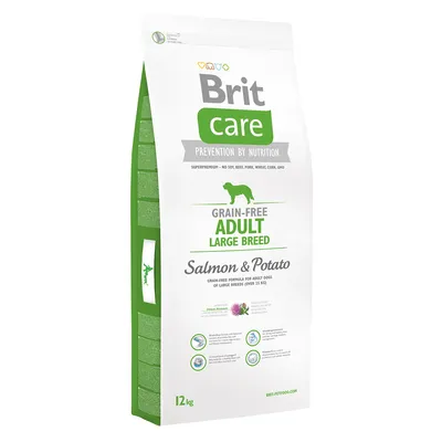 Brit Care Grain-Free Adult Large Breed Salmon & Potato kutyatáp, 12 kg-os csomag. Látható: márkanév, terméknév, gabonamentes, nagytestű felnőtt kutyáknak, lazac és burgonya.