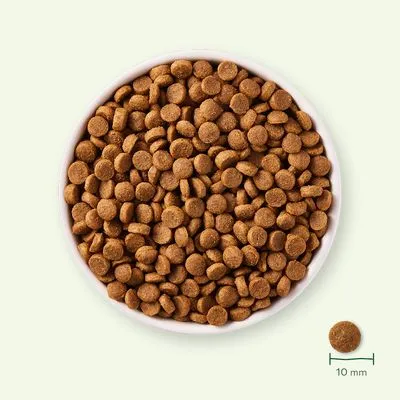 Yarrah Bio Hondenvoer Puppy