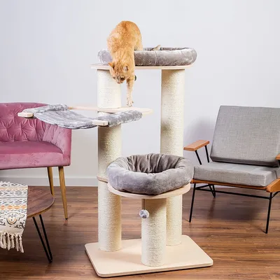 Tiragraffi per gatti con colonne in sisal, due letti imbottiti grigi e una piattaforma, un gatto arancione sopra. Struttura in legno chiaro, pallina appesa visibile.