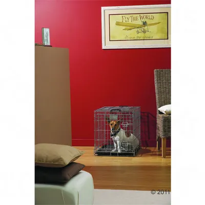 Small pet sitting inside a metal wire crate placed indoors, demonstrating the use of the crate for secure containment.