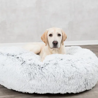 Trixie pute Harvey, rund