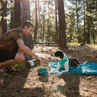 Cane con pettorina turchese sdraiato su coperta blu in un bosco, vicino a ciotola pieghevole verde e borraccia mentre una persona versa acqua.