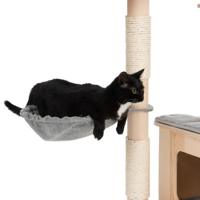 Schwarze Katze liegt in einer grauen Hängematte, die an einem Kratzbaum aus Holz mit Sisal umwickelten Säulen befestigt ist.