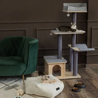 Modern Living Raleigh Ansamblu de cățărat