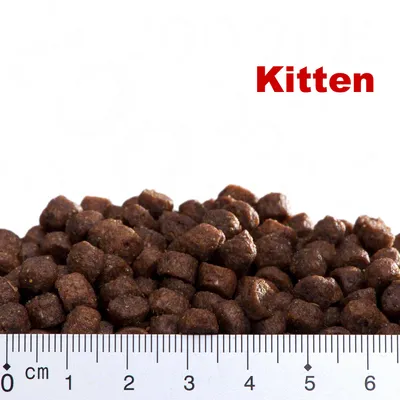 Granule s nápisem Kitten, zobrazené vedle pravítka v centimetrech pro určení velikosti jednotlivých kousků.