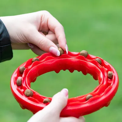 Red interactive feeding ring filled with small dry food pieces. Hands place food into the indentations of the ring.