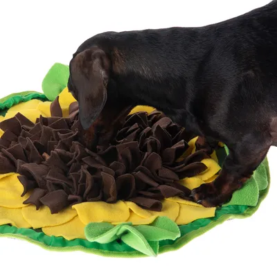 Hund snuser på en gul og brun snusemåtte i solsikkeform af stof.