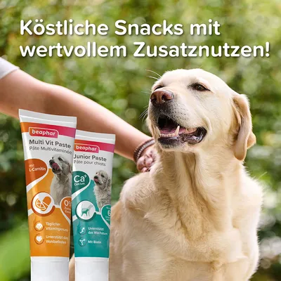 Beaphar Multi Vit Paste mit L-Carnitin und Junior Paste mit Calcium. Köstliche Snacks mit wertvollem Zusatznutzen, unterstützen Wohlbefinden und Wachstum.