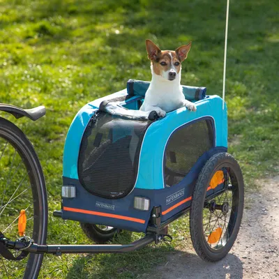 Hafenbande Fahrradanhänger in Blau mit Netzfenstern, befestigt an einem Fahrrad. Hund sitzt im Anhänger und schaut heraus.