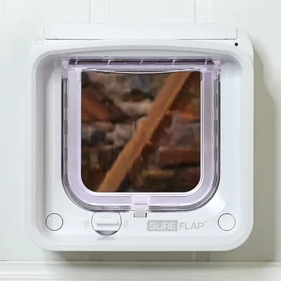 SureFlap mikrochip-kattelem i hvid, med transparent dør og betjeningsknapper til låsning.