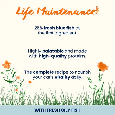 Almo Nature Holistic -säästöpakkaus 4  x 2 kg