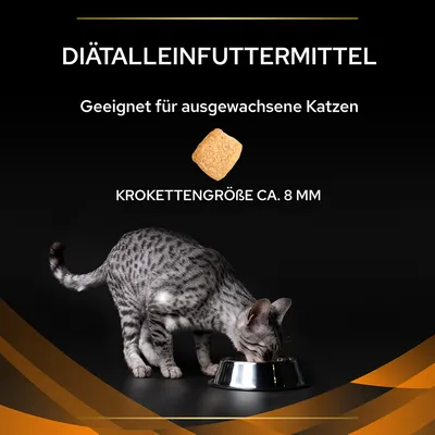 Diätalleinfuttermittel, geeignet für ausgewachsene Katzen. Krokettengrösse ca. 8 mm. Katze frisst aus einem Napf.