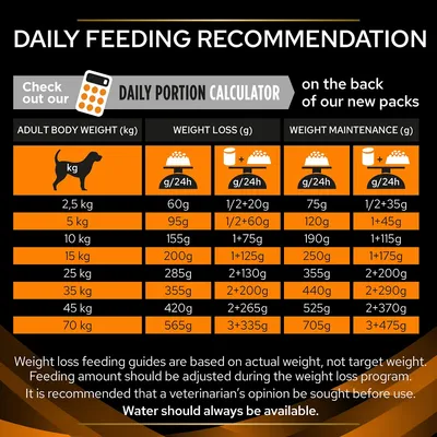 Daily feeding recommendation chart showing food amounts in grams for different body weights, with separate columns for weight loss and maintenance. Water should always be available.