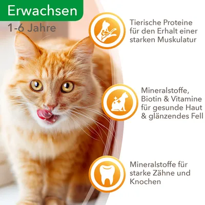 Texte en allemand : Erwachsen 1–6 Jahre. Protéines animales pour la musculature, minéraux, biotine et vitamines pour peau et pelage, minéraux pour dents et os solides.