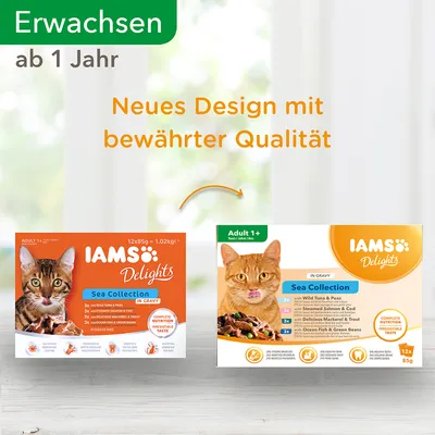 IAMS Delights Sea Collection -kissanruoka, kaksi pakkausversiota. Teksti saksaksi: 'Neues Design mit bewährter Qualität'. Pakkauksissa näkyy oranssi kissa ja tuotetiedot englanniksi.