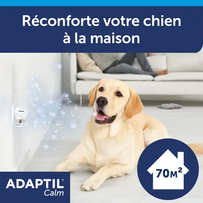 ADAPTIL Calm, réconforte votre chien à la maison, diffuseur mural visible, surface indiquée 70 m².