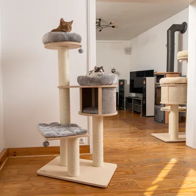 Kratzbaum mit drei Ebenen, Sisalstämmen und gepolsterten Liegeflächen. Zwei Katzen ruhen auf den oberen Plattformen.