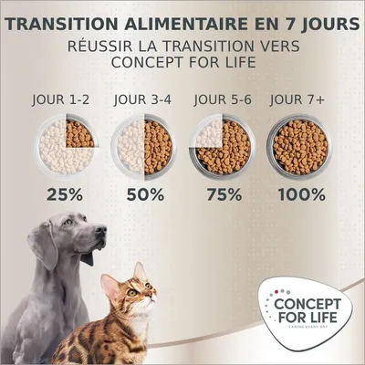 Tableau de transition alimentaire en 7 jours vers Concept for Life : jour 1–2 25 %, jour 3–4 50 %, jour 5–6 75 %, jour 7+ 100 %. Marque Concept for Life visible.