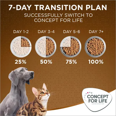 Piano di transizione 7 giorni Concept for Life: giorno 1–2 25%, giorno 3–4 50%, giorno 5–6 75%, giorno 7+ 100%. Immagine di cane, gatto e logo Concept for Life. Piano di transizione 7 giorni Concept for Life: giorno 1–2 25%, giorno 3–4 50%, giorno 5–6 75%, giorno 7+ 100%. Immagine di cane, gatto e logo Concept for Life.