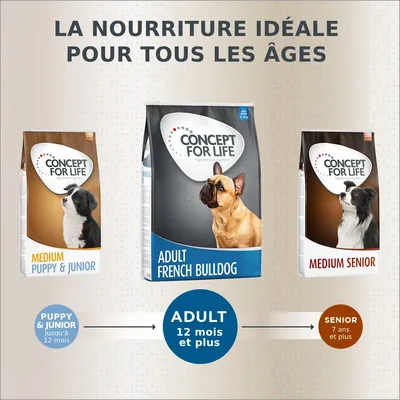 Trois sacs Concept for Life : Medium Puppy & Junior, Adult French Bulldog, Medium Senior. Texte visible : la nourriture idéale pour tous les âges, Puppy & Junior jusqu’à 12 mois, Adult 12 mois et plus, Senior 7 ans et plus.