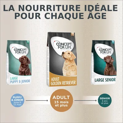 Trois sacs Concept for Life : Large Puppy & Junior jusqu’à 15 mois, Adult Golden Retriever 15 mois et plus, Large Senior 6 ans et plus. Texte : La nourriture idéale pour chaque âge.