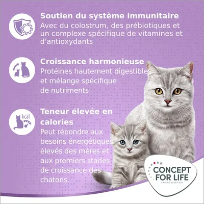 Soutien du système immunitaire, croissance harmonieuse, teneur élevée en calories. Concept for Life. Texte en français sur fond violet avec deux chats gris.
