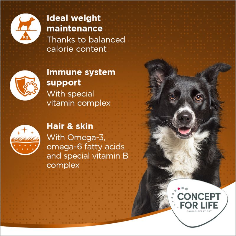 Concept for Life Medium Adult Crocchette per cani