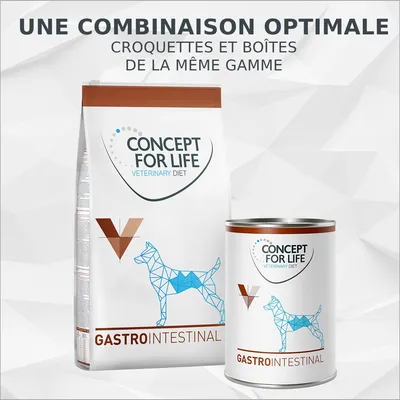 Concept for Life Veterinary Diet Gastro Intestinal – croquettes et boîte de la même gamme pour chien, texte : une combinaison optimale. Marques et textes visibles sur les emballages.