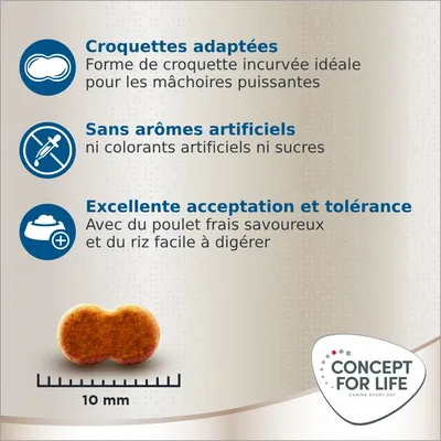 Croquettes adaptées, forme incurvée pour mâchoires puissantes. Sans arômes, colorants ni sucres artificiels. Poulet frais savoureux, riz digeste. Croquette 10 mm. Concept for Life.