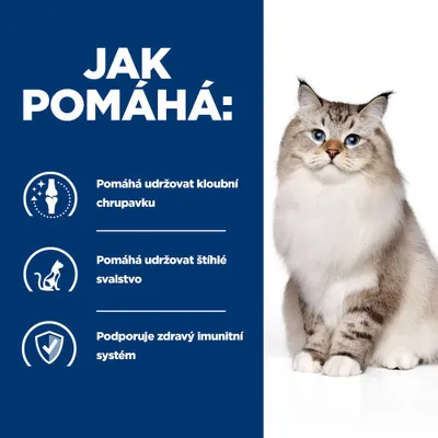Grafika s textom v češtine: Podporuje kĺbovú chrupavku, pomáha udržiavať štíhle svalstvo, podporuje zdravý imunitný systém. Obrázok mačky vpravo.