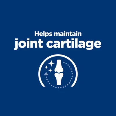 Ajută la menținerea cartilajului articular. Ilustrație a unei articulații cu simboluri pentru protecție și îngrijire. Ajută la menținerea cartilajului articular. Ilustrație a unei articulații cu simboluri pentru protecție și îngrijire.