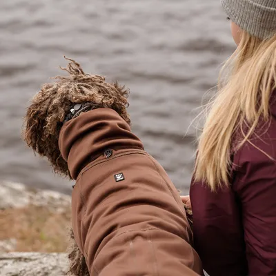 Pies w brązowej kurtce outdoorowej obok osoby nad wodą. Kurtka z małym logo, odpowiednia na zimne warunki pogodowe.