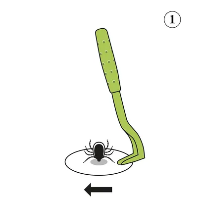 Illustrationen visar en grön fästingborttagare som tar bort en fästing. En pil visar vridrörelsen.