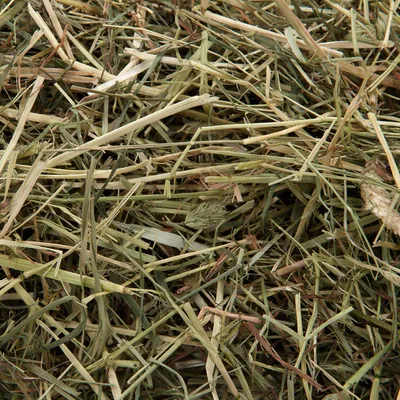 Nærbillede af løst hø, egnet som foder til smådyr.