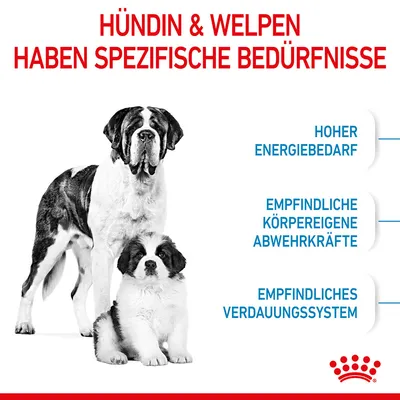 Hündin und Welpen haben spezifische Bedürfnisse: Hoher Energiebedarf, empfindliche körpereigene Abwehrkräfte, empfindliches Verdauungssystem. Royal Canin Logo unten rechts.