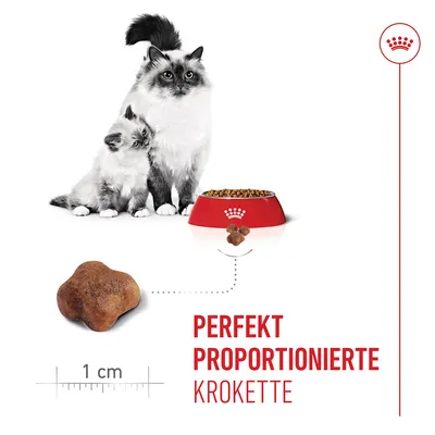 Royal Canin Mother & Babycat pour chatte et chaton