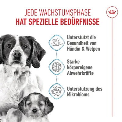 Royal Canin Medium Starter Mother & Babydog