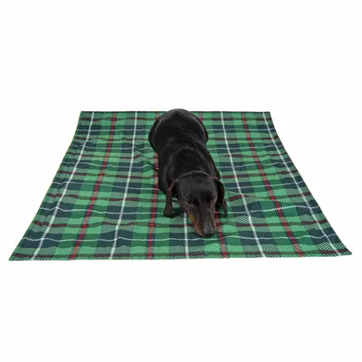 Zielony koc dla psa w kratkę, leżący na nim czarny pies. Produkt do używania jako legowisko dla zwierząt domowych.