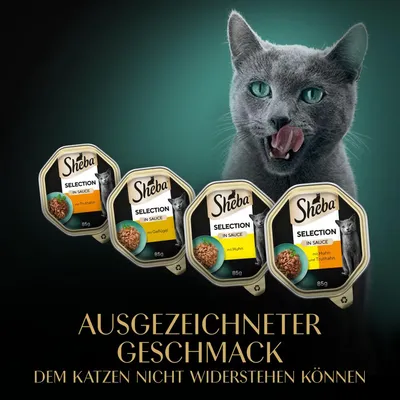 Sheba Selection in Sauce, Sorten: mit Truthahn, mit Geflügel, mit Huhn und Truthahn. Ausgezeichneter Geschmack, dem Katzen nicht widerstehen können.
