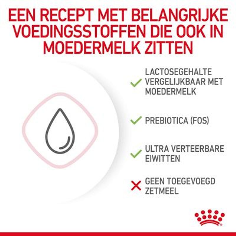 Royal Canin Babycat Milk