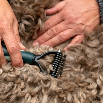 Hand hält einen Entfilzungskamm, der durch lockiges Fell gleitet. Geeignet zur Entfernung von Knoten und Verfilzungen.