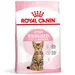 Royal Canin Kitten Sterilised