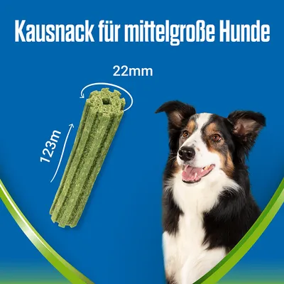 Kausnack für mittelgrosse Hunde, Masse: Länge 123mm, Durchmesser 22mm.