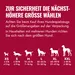 KONG Classic Spielzeug + 80 g Fleischeslust meat & treat Trainingswurst gratis!