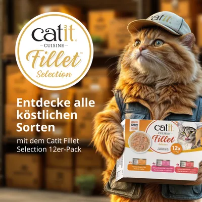 Entdecke alle köstlichen Sorten mit dem Catit Fillet Selection 12er-Pack. Verschiedene Geschmacksrichtungen im Angebot.