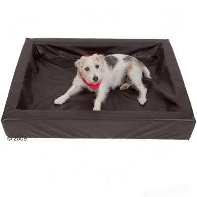 Hond op rechthoekig hondenbed van zwart kunstleer met opstaande randen, hond draagt rode halsdoek. Materiaal: kunstleer zichtbaar.